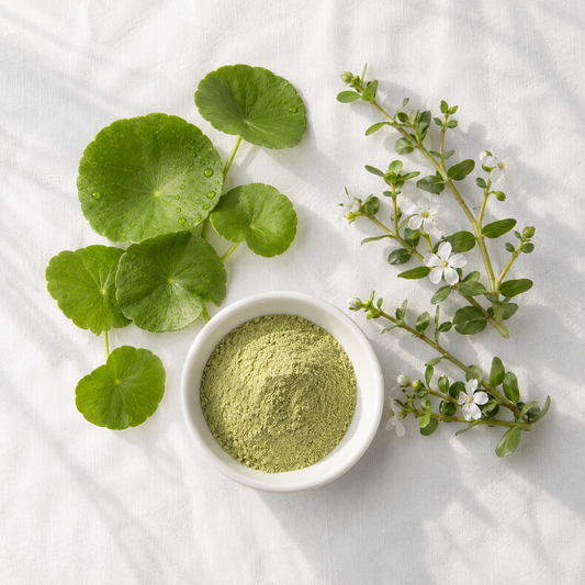 Gotu Kola & Bacopa: Ayurveda's Two Brain Herbs — And Why They Work Better Together